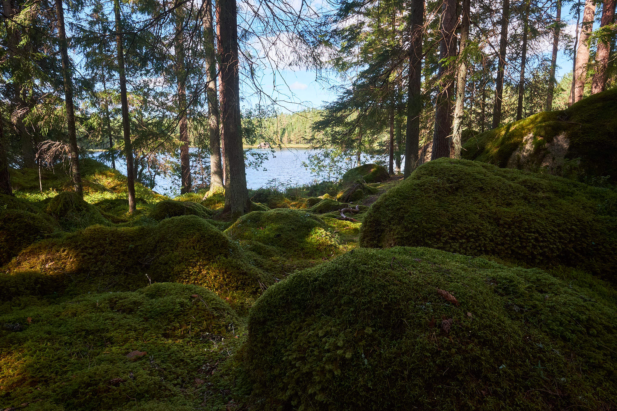 Schweden / Sweden